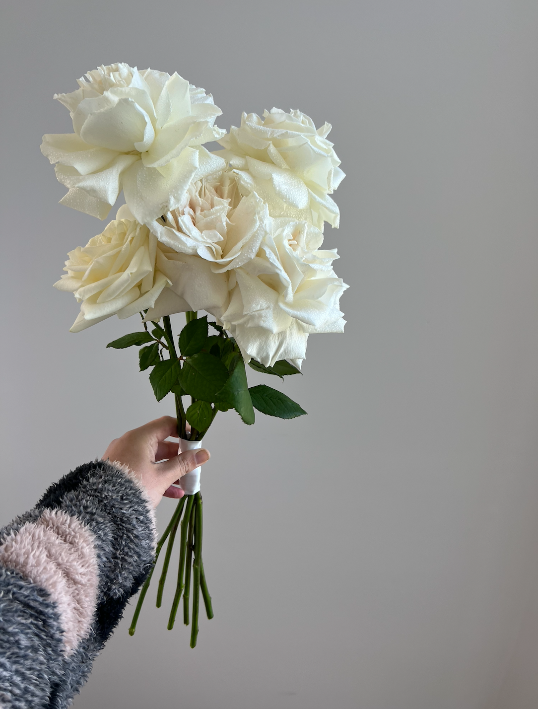 Minimalist Long Stems En Masse